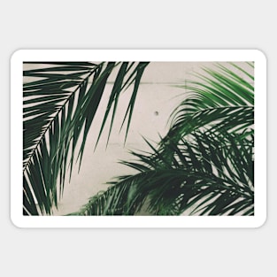 Artful Palm Leaf Graphic Sticker